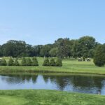 Golf carts across the pond